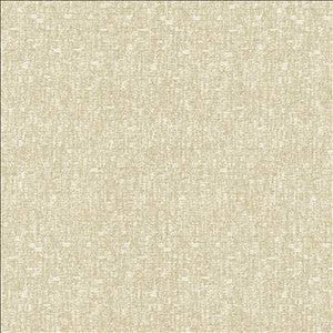Kasmir Fabric Blake Classic
