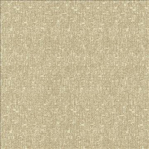 Kasmir Fabric Blake Halo