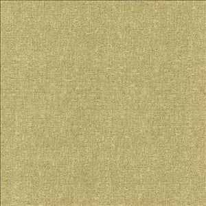 Kasmir Fabric Blake Parsley