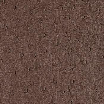 Bondi Espresso PBO-007 by Nassimi Designer Fabric our website for purchase 100% Vinyl USA or Asia Water-based cleaning agents and foam may be used for cleaning. This fabric may also be cleaned with mild, water-free solvents. Cleaning by a professional cleaning service is recommended. Horizontal: - and Vertical: - 54" - Swanky Fabrics -