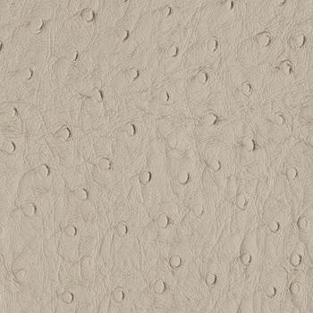 Bondi Stone PBO-004 by Nassimi Designer Fabric See sample 100% Vinyl USA or Imported Water-based cleaning agents and foam may be used for cleaning. Cleaning by a professional cleaning service is recommended. </p><p>Repeat: Horizontal: and Vertical: 54" - Swanky Fabrics -