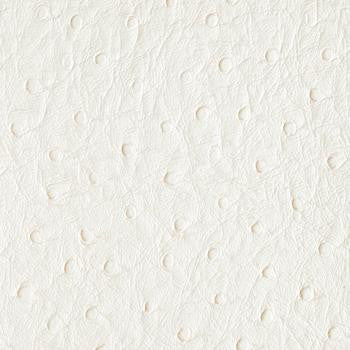Bondi White Heron PBO-005 by Nassimi Designer Fabric our website for purchase 100% Vinyl USA or Asia Water-based cleaning agents and foam may be used for cleaning. This fabric may also be cleaned with mild, water-free solvents. Cleaning by a professional cleaning service is recommended. Horizontal: - and Vertical: - 54" - Swanky Fabrics -