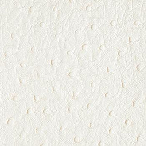 Nassimi Fabric Bondi White Heron