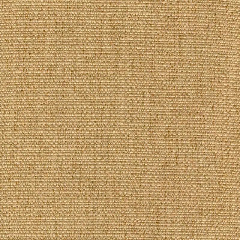 Cachay Gold by Magnolia Designer Fabric - 100% Poly China 50000 Horizontal: 0 and Vertical: 0 55" - Swanky Fabrics -