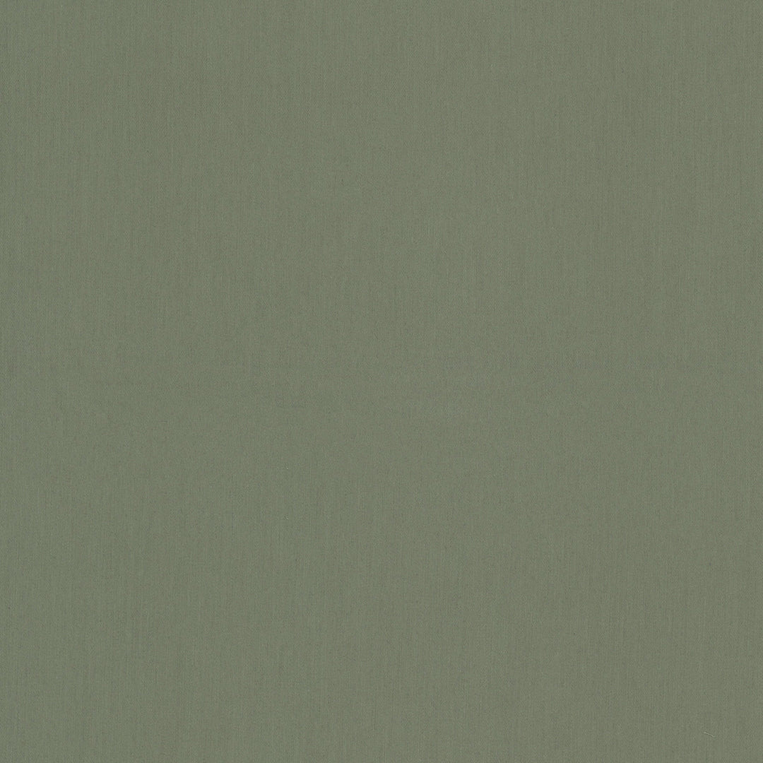 Caldwell 1 Sage by Stout Designer Fabric