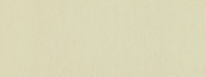 Norbar Fabric Campo Natural 11