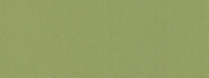 Campo Willow 216 by Norbar Designer Fabric CAMPO 100% COTTON INDIA 54" - Swanky Fabrics -