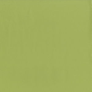 Norbar Fabric Capital Meadow 21