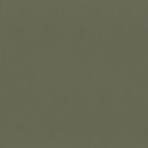 Capital Mocha 802 by Norbar Designer Fabric EPIC 100% PVC CHINA 55 - Swanky Fabrics -