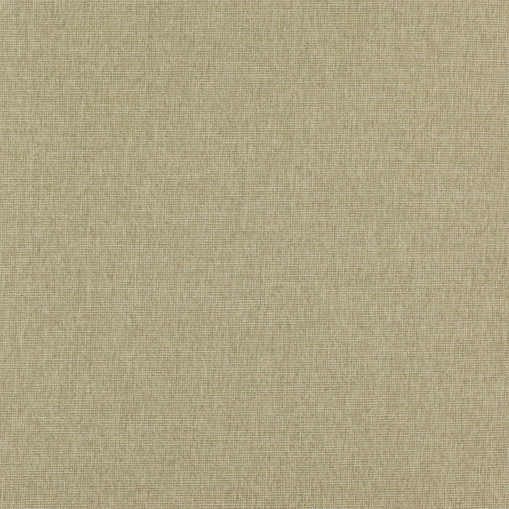 CAPTAIN 13J7351 by JF Designer Fabric Winning Weaves VI - Woven Book 85% Polyester, 15% Viscose India  Horizontal:  and Vertical:  57  - Swanky Fabrics -