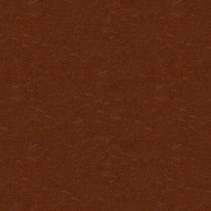 Kravet Fabric Captured Cappucio