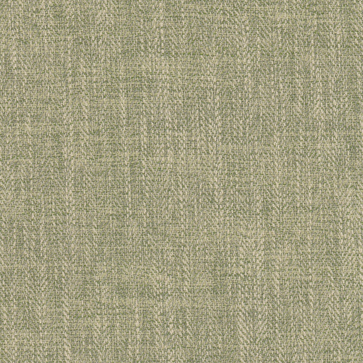 Carson 3 Dill by Stout Designer Fabric LIVING IS EASY ALOE/MINERAL 100%POL CHINA Horizontal: 0.000 and Vertical: 0.000 57 in - Swanky Fabrics -