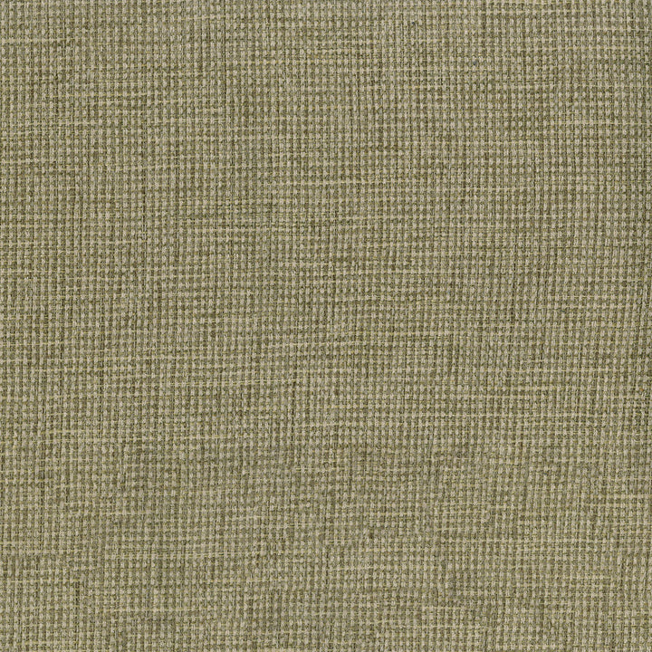Carson 205 Sawgrass by ABBEYSHEA Designer Fabric 100% Polyester CN 45,000 Double Rubs (Wyzenbeek) </p><p>Repeat: Horizontal: and Vertical: 57 in. (145 cm) - Swanky Fabrics -