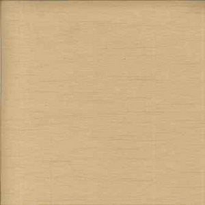 Casbah Putty by Norbar Designer Fabric 100% POLYESTER INDIA 54" - Swanky Fabrics -