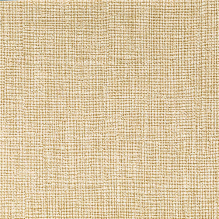 Caslin Linen by Kravet Contract Designer Fabric FOUNDATIONS / VALUE PVC - ARTIFICIAL LEATHER - 100% China HEAVY Horizontal: 0 and Vertical: 0 54 - Swanky Fabrics -