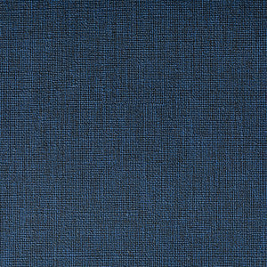 Kravet Fabric Caslin Ink