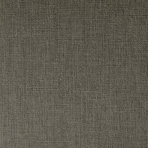 Kravet Fabric Caslin Bark