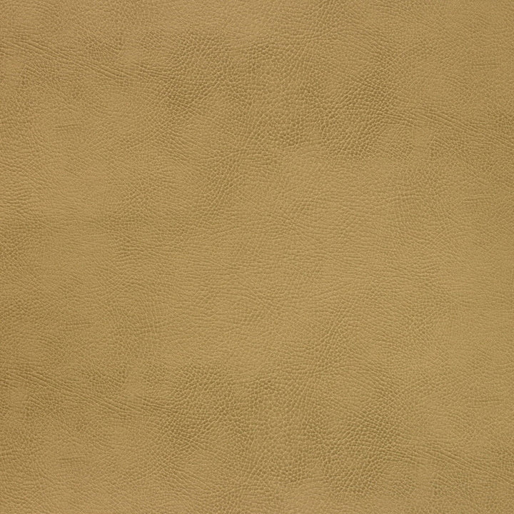 Caswell-4 by Kravet Design Designer Fabric - POLYESTER - 55%;POLYURETHANE - 45% Korea, Republic of HEAVY Horizontal: 0 and Vertical: 0 54 - Swanky Fabrics -