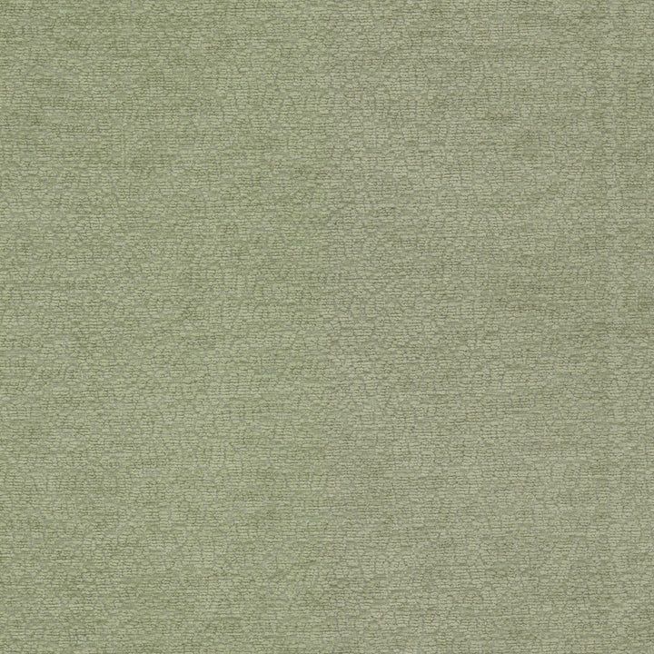 Cavalier 1 Balsam by Stout Designer Fabric RAINBOW LIBRARY SAGE/CYPRESS 100%POL CHINA WYZENBEEK 25 000 DOUBLE RUB WEAR TEST (HEAVY DUTY) Horizontal: 6.750 and Vertical: 6.750 55 in - Swanky Fabrics -