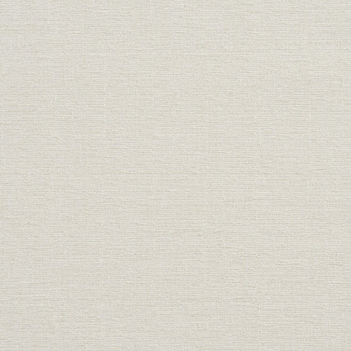 CB600-08 by Charlotte Designer Fabric White 100% Woven Polyester Asia Exceeds 120,000 Wyzenbeek Rubs (Heavy Duty) No Repeat 54 Inches - Swanky Fabrics -