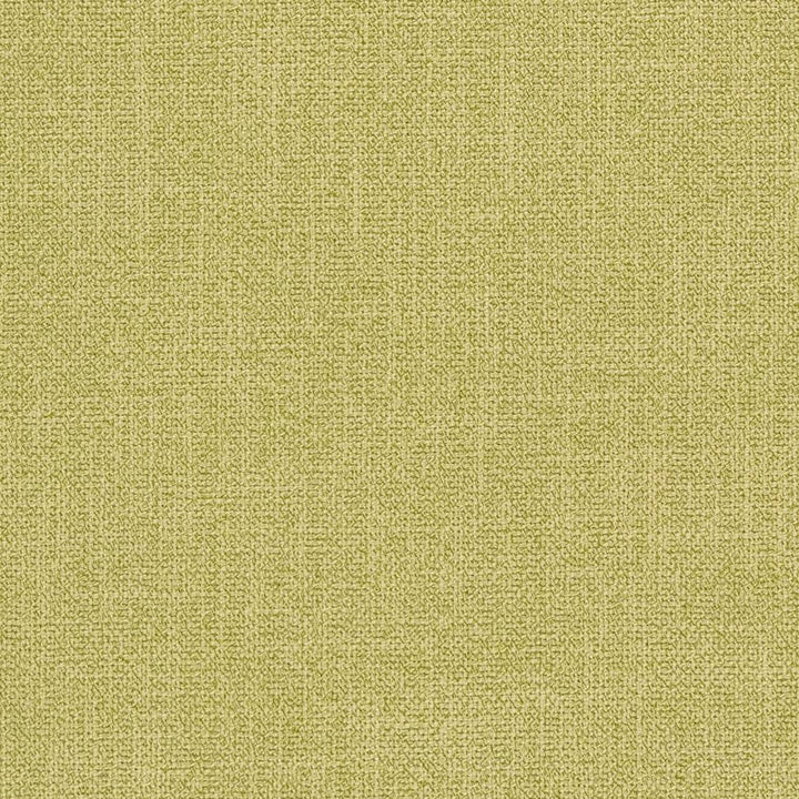 CB600-113 by Charlotte Designer Fabric Shades of Spring 100% Woven Polyester Asia Exceeds 150,000 Wyzenbeek Rubs (Heavy Duty) </p><p>Repeat: No Repeat 54 Inches - Swanky Fabrics -