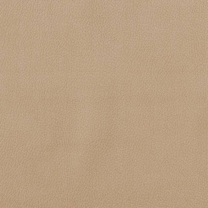 CB600-156 by Charlotte Designer Fabric Shades of Neutral 100% Woven Polyester Asia Exceeds 190,000 Wyzenbeek Rubs (Heavy Duty) </p><p>Repeat: No Repeat 54 Inches - Swanky Fabrics -