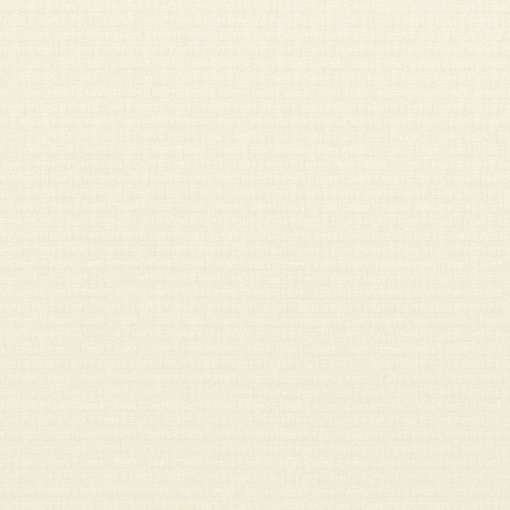 CB600-85 by Charlotte Designer Fabric Black & White 100% Woven Polyester Asia Exceeds 100,000 Wyzenbeek Rubs (Heavy Duty) </p><p>Repeat: 54 Inches - Swanky Fabrics -