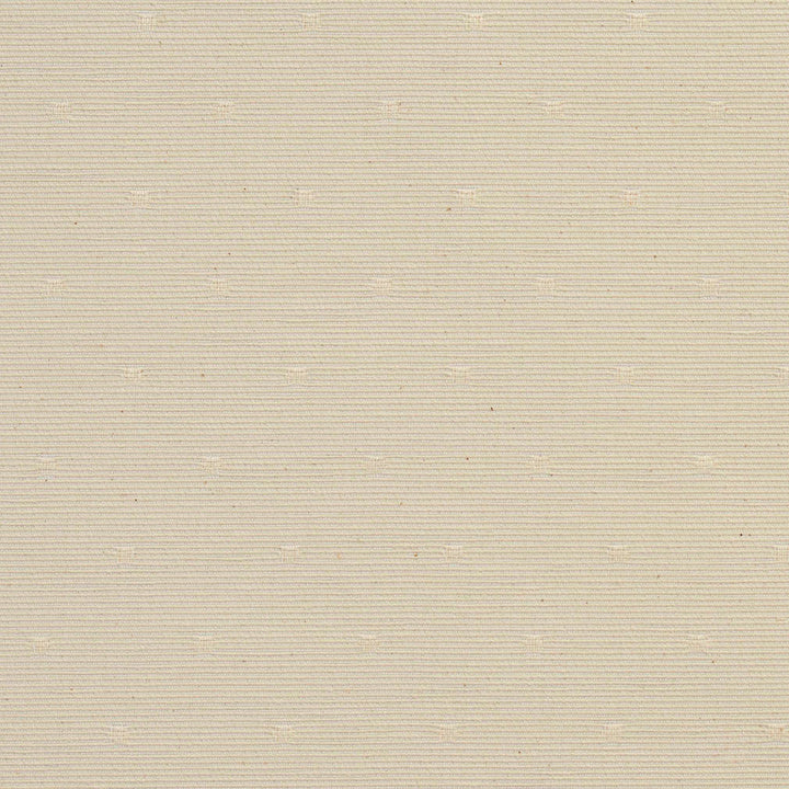CB700-12 by Charlotte Designer Fabric White 55% Cotton, 45% Polyester Spain Exceeds 30,000 Wyzenbeek Rubs (Heavy Duty) Horizontal: 2" x Vertical: 2" 54 Inches - Swanky Fabrics -