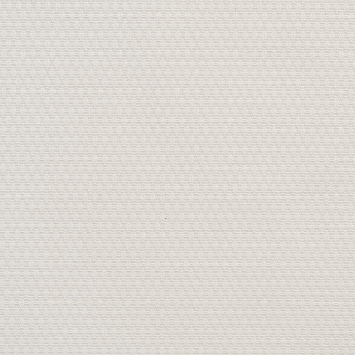 CB700-16 by Charlotte Designer Fabric White 100% Woven Polyester Spain Exceeds 30,000 Wyzenbeek Rubs (Heavy Duty) No Repeat 54 Inches - Swanky Fabrics -