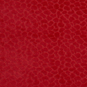 Charlotte Fabric CB700-228
