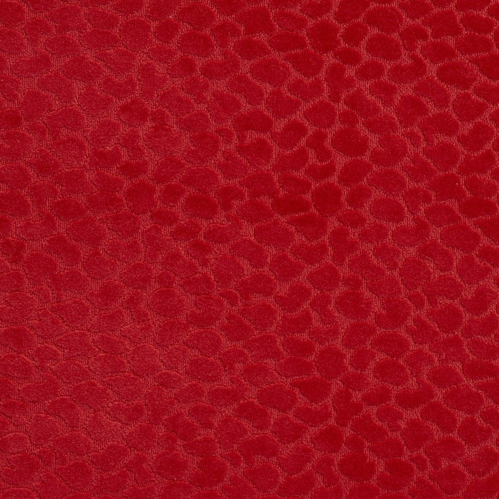 CB700-228 by Charlotte Designer Fabric Shades of Coral 100% Woven Polyester Asia Exceeds 160,000 Wyzenbeek Rubs (Heavy Duty) </p><p>Repeat: Horizontal: 1.5" x Vertical: 3.5" 54 Inches - Swanky Fabrics -