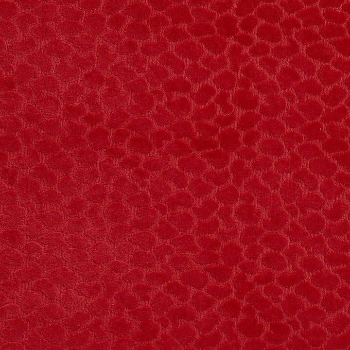 CB700-228 by Charlotte Designer Fabric Shades of Coral 100% Woven Polyester Asia Exceeds 160,000 Wyzenbeek Rubs (Heavy Duty) </p><p>Repeat: Horizontal: 1.5" x Vertical: 3.5" 54 Inches - Swanky Fabrics -