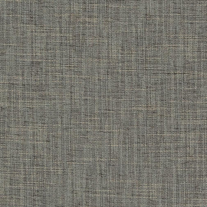 CB700-294 by Charlotte Designer Fabric Shades of Graphite 100% Woven Polyester Asia Exceeds 90,000 Wyzenbeek Rubs (Heavy Duty) No Repeat 54 Inches - Swanky Fabrics -