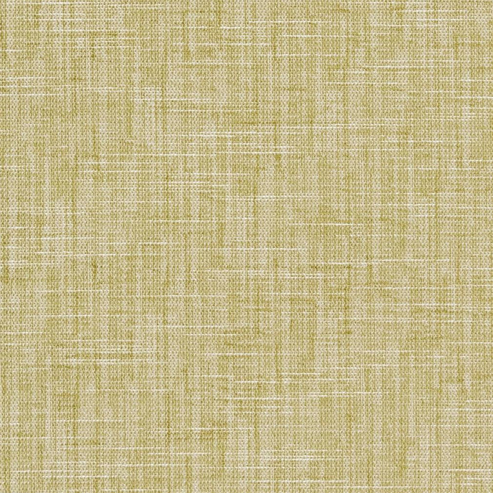 CB700-302 by Charlotte Designer Fabric Shades of Spring 100% Woven Polyester Asia Exceeds 100,000 Wyzenbeek Rubs (Heavy Duty) </p><p>Repeat: No Repeat 54 Inches - Swanky Fabrics -