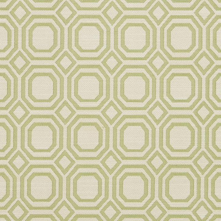 CB700-307 by Charlotte Designer Fabric Shades of Spring 100% Woven Polyester Asia Exceeds 50,000 Wyzenbeek Rubs (Heavy Duty) Horizontal 2.25" x Vertical 2.25" 54 Inches - Swanky Fabrics -