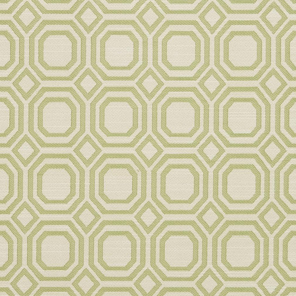CB700-307 by Charlotte Designer Fabric Shades of Spring 100% Woven Polyester Asia Exceeds 50,000 Wyzenbeek Rubs (Heavy Duty) </p><p>Repeat: Horizontal: 2.25" x Vertical: 2.25" 54 Inches - Swanky Fabrics -