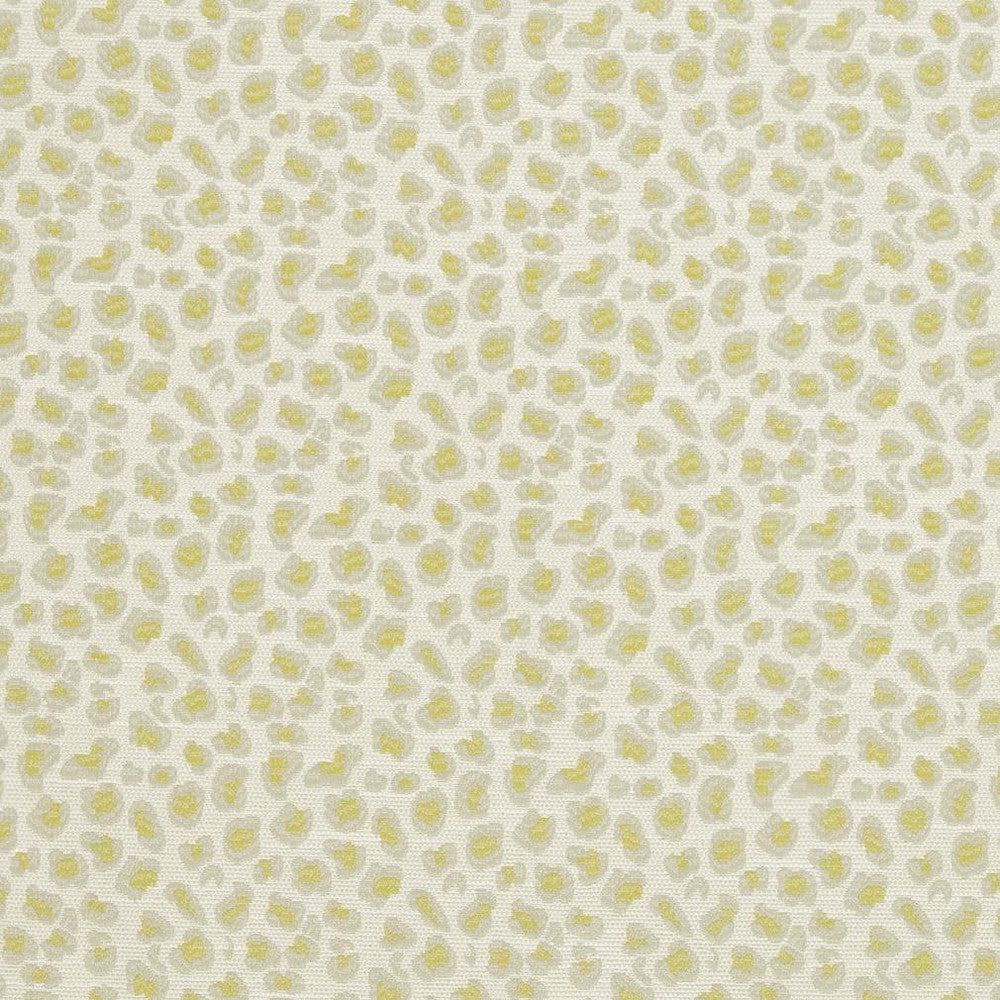 CB700-310 by Charlotte Designer Fabric Shades of Spring 100% Woven Polyester Asia Exceeds 120,000 Wyzenbeek Rubs (Heavy Duty) Horizontal 3.5" x Vertical 3.5" 54 Inches - Swanky Fabrics -