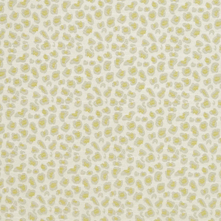 CB700-310 by Charlotte Designer Fabric Shades of Spring 100% Woven Polyester Asia Exceeds 120,000 Wyzenbeek Rubs (Heavy Duty) </p><p>Repeat: Horizontal: 3.5" x Vertical: 3.5" 54 Inches - Swanky Fabrics -