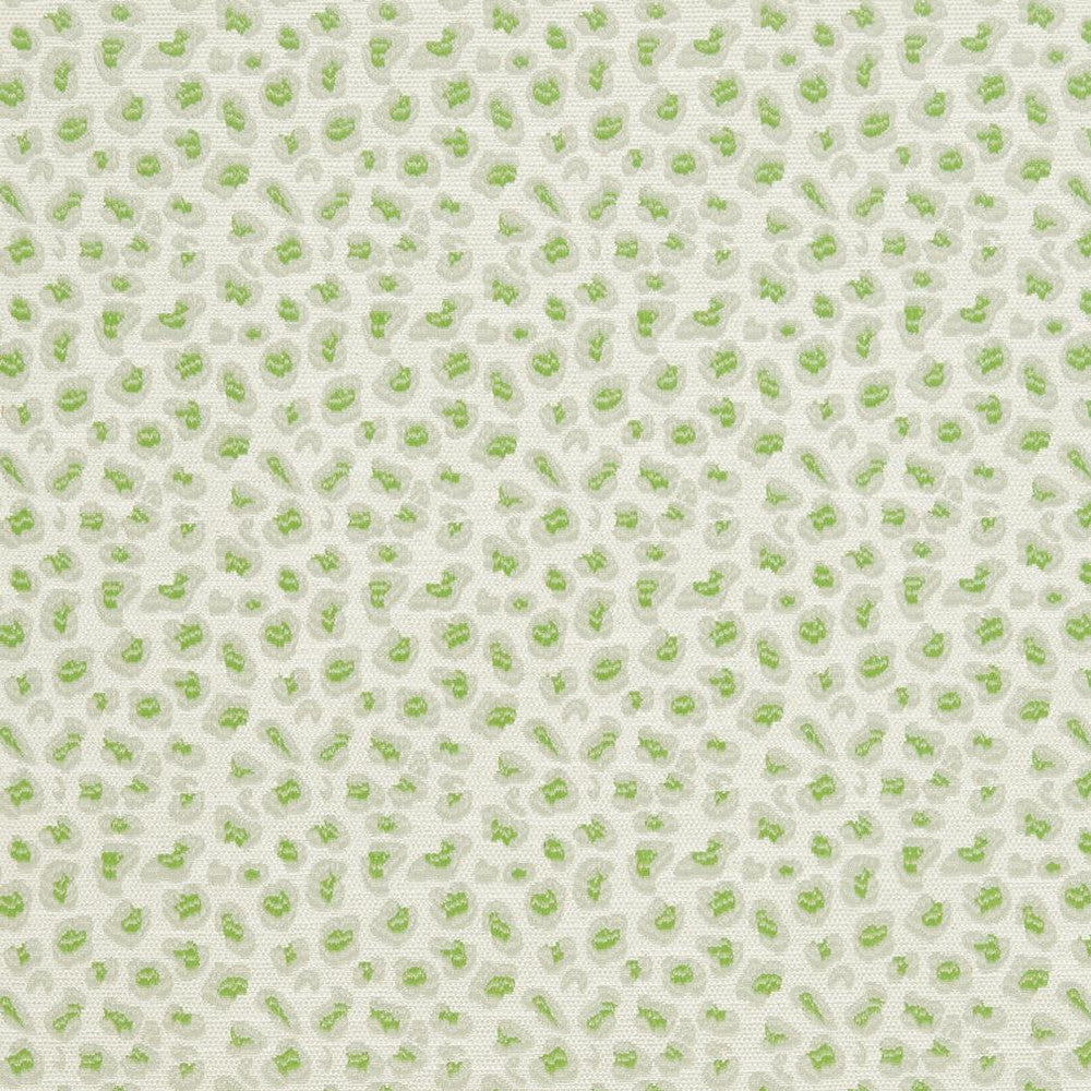CB700-311 by Charlotte Designer Fabric Shades of Spring 100% Woven Polyester Asia Exceeds 120,000 Wyzenbeek Rubs (Heavy Duty) Horizontal 3.5" x Vertical 3.5" 54 Inches - Swanky Fabrics -