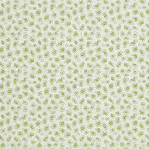 Charlotte Fabric CB700-311