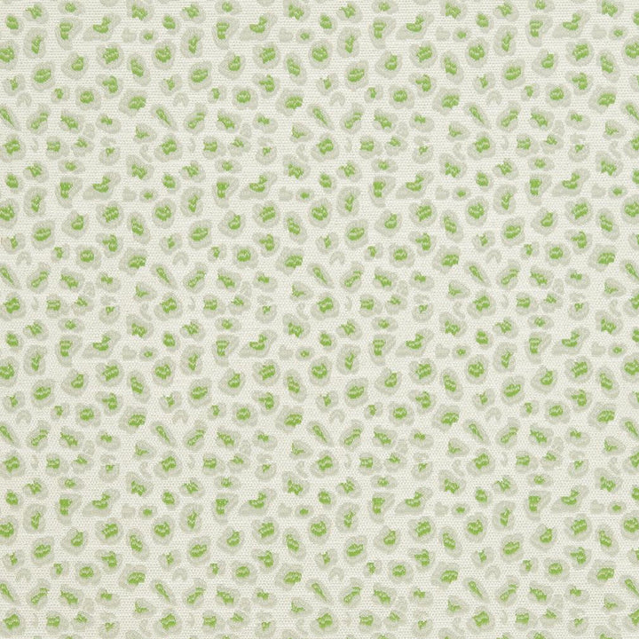 CB700-311 by Charlotte Designer Fabric Shades of Spring 100% Woven Polyester Asia Exceeds 120,000 Wyzenbeek Rubs (Heavy Duty) Horizontal 3.5" x Vertical 3.5" 54 Inches - Swanky Fabrics -