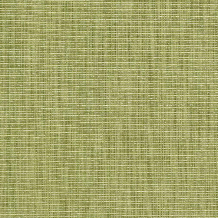 CB700-316 by Charlotte Designer Fabric Shades of Spring 51% Cotton, 30% Polyester, 19% Rayon Asia Exceeds 120,000 Wyzenbeek Rubs (Heavy Duty) No Repeat 54 Inches - Swanky Fabrics -