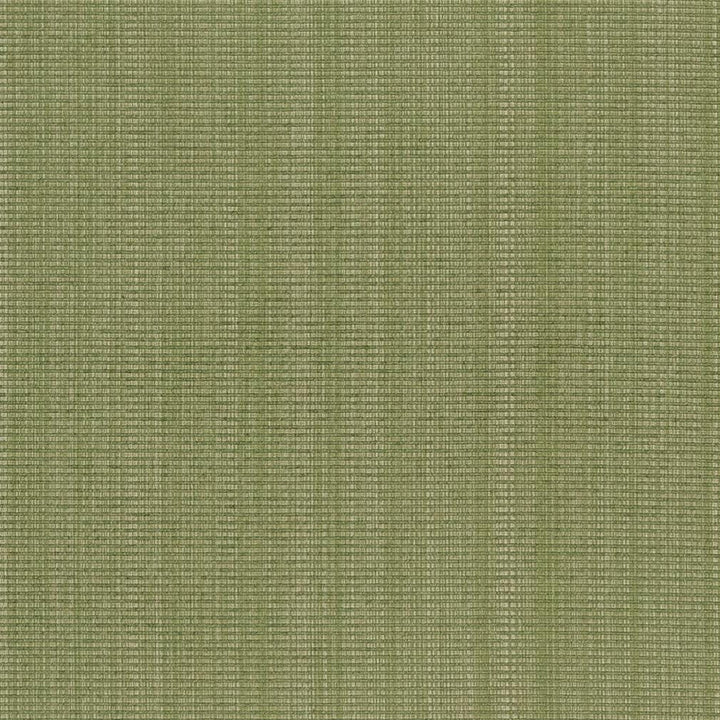 CB700-317 by Charlotte Designer Fabric Shades of Spring 51% Cotton, 30% Polyester, 19% Rayon Asia Exceeds 120,000 Wyzenbeek Rubs (Heavy Duty) No Repeat 54 Inches - Swanky Fabrics -