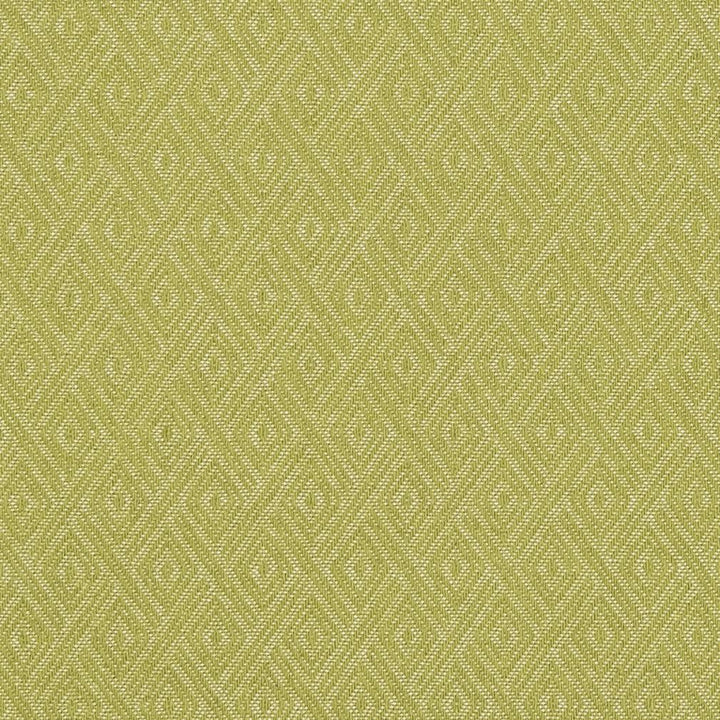 CB700-320 by Charlotte Designer Fabric Shades of Spring 86% Cotton, 14% Polyester Made In USA Exceeds 66,000 Wyzenbeek Rubs (Heavy Duty) Horizontal: 1.5" X Vertical: 1.5" 54 Inches - Swanky Fabrics -