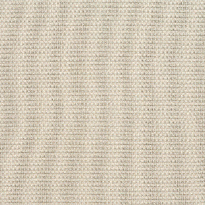 Cb700-34 by Charlotte Designer Fabric Ecru 100% Woven Polyester Asia Exceeds 120,000 Wyzenbeek Rubs (Heavy Duty) </p><p>Repeat: 54 Inches - Swanky Fabrics -