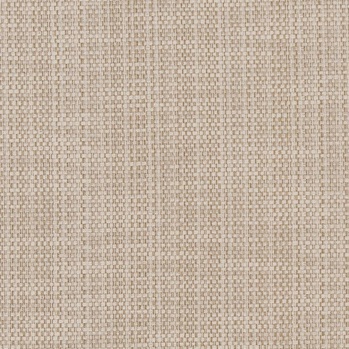 CB700-359 by Charlotte Designer Fabric Shades of Neutral 64% Cotton, 36% Polyester Asia Exceeds 100,000 Wyzenbeek Rubs (Heavy Duty) </p><p>Repeat: No Repeat 54 Inches - Swanky Fabrics -