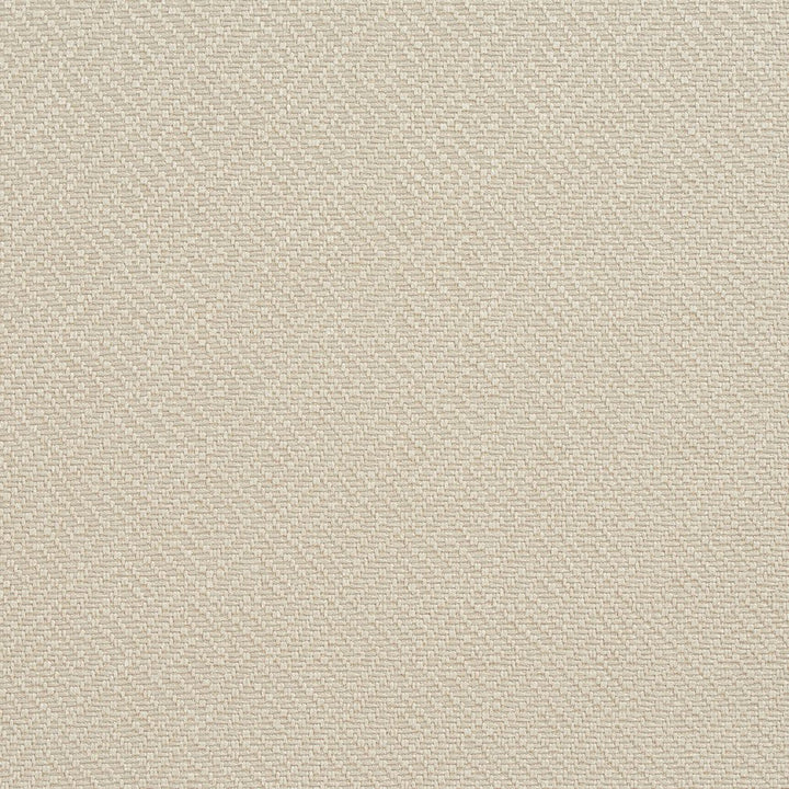 CB700-36 by Charlotte Designer Fabric Ecru 100% Woven Polyester Asia Exceeds 120,000 Wyzenbeek Rubs (Heavy Duty) Horizontal: 1.5" x Vertical: 1.5" 54 Inches - Swanky Fabrics -