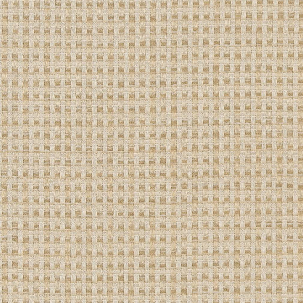 CB700-374 by Charlotte Designer Fabric Shades of Neutral 100% Woven Polyester Asia Exceeds 60,000 Wyzenbeek Rubs (Heavy Duty) </p><p>Repeat: No Repeat 54 Inches - Swanky Fabrics -