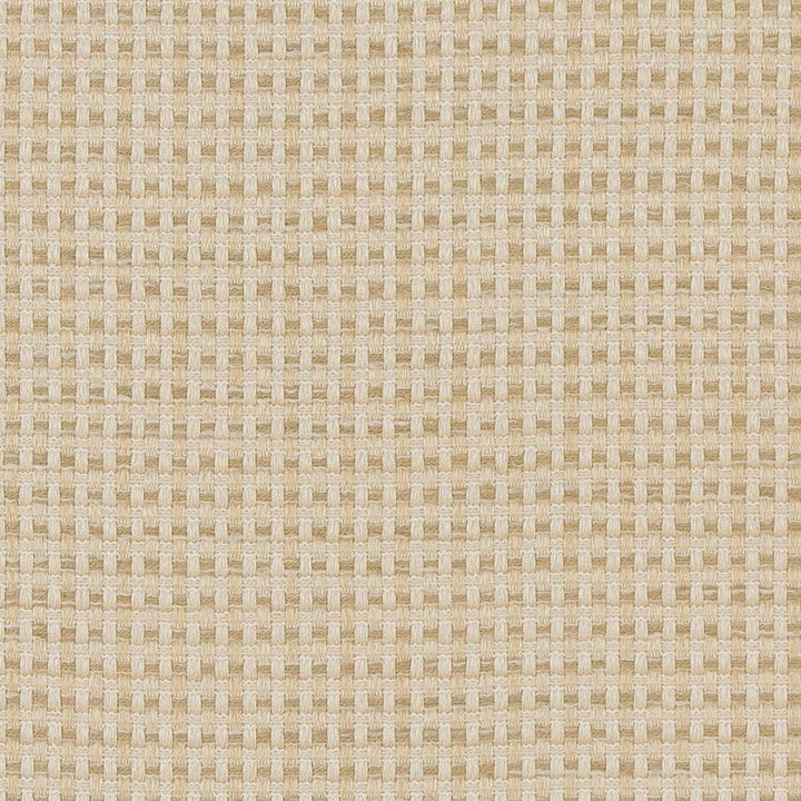 CB700-374 by Charlotte Designer Fabric Shades of Neutral 100% Woven Polyester Asia Exceeds 60,000 Wyzenbeek Rubs (Heavy Duty) </p><p>Repeat: No Repeat 54 Inches - Swanky Fabrics -
