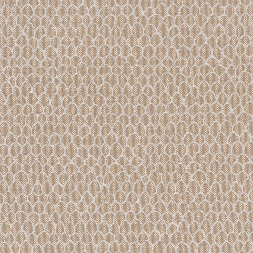 CB700-400 by Charlotte Designer Fabric Shades of Neutral 50% Polyester, 25% Cotton, 25% Acrylic Spain Exceeds 60,000 Wyzenbeek Rubs (Heavy Duty) </p><p>Repeat: No Repeat 54 Inches - Swanky Fabrics -